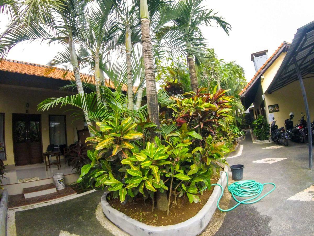 Putu Guest House Canggu Εξωτερικό φωτογραφία